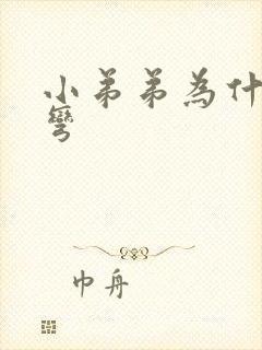 小弟弟为什么会弯封面