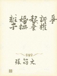 离婚起诉争夺孩子抚养权