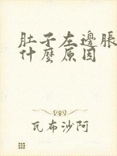 肚子左边胀痛是什么原因封面