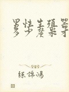 男性生殖器勃起多少厘米才算正常