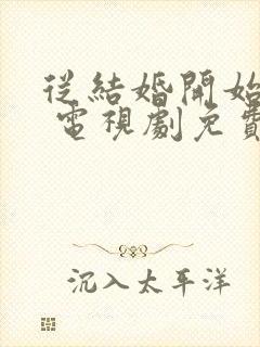 从结婚开始恋爱 电视剧免费观看