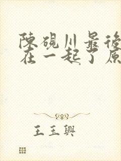 陈砚川最后和谁在一起了原著小说封面