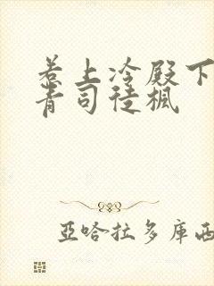 惹上冷殿下陈青青司徒枫封面