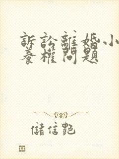 诉讼离婚小孩抚养权问题