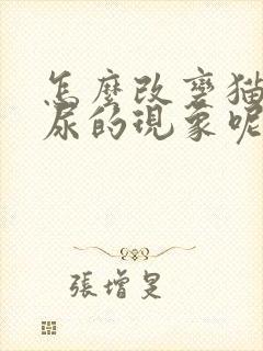 怎么改变猫咪乱尿的现象呢