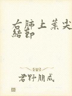 右肺上叶尖段微结节