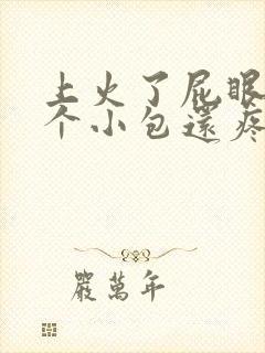 上火了屁眼长了个小包还疼