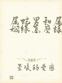 属蛇男和属鼠女姻缘怎么样