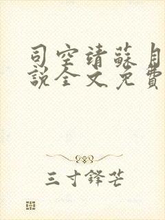 司空靖苏月汐小说全文免费阅读