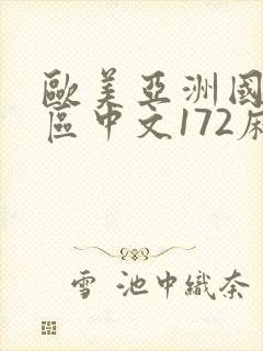 欧美亚洲国产一区中文172麻豆封面