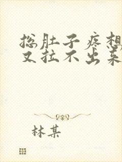 总肚子疼想拉屎又拉不出来怎么回事封面