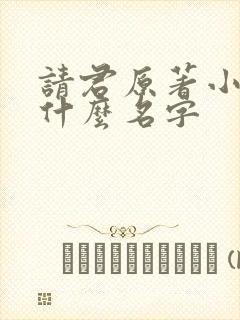 请君原著小说叫什么名字