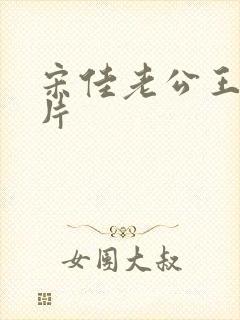 宋佳老公王伟图片