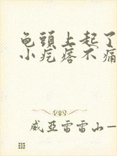 龟头上起了好多小疙瘩不痛不痒