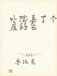 外阴长了个像痘痘的包