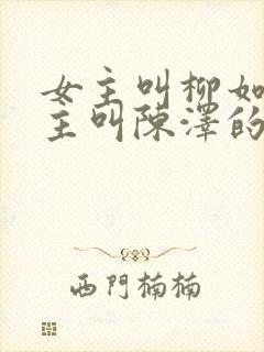 女主叫柳如烟男主叫陈泽的小说封面