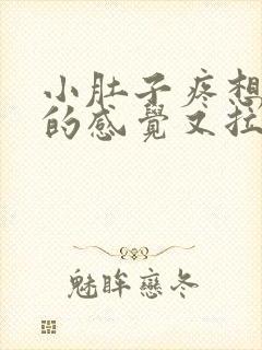 小肚子疼想大便的感觉又拉不出来封面