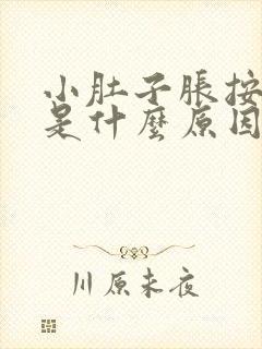 小肚子胀按着疼是什么原因