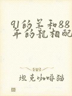91的羊和88年的龙相配吗婚姻如何