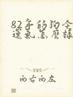 82年的狗今年运气怎么样?