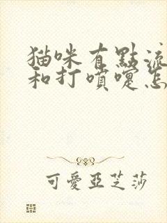 猫咪有点流鼻涕和打喷嚏怎么办