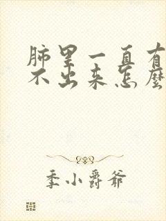 肺里一直有痰咳不出来怎么办封面