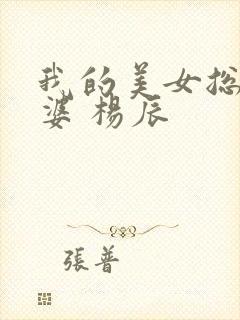 我的美女总裁老婆 杨辰