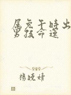 属兔午时出生的男孩命运