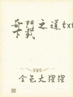 奇门之道txt下载