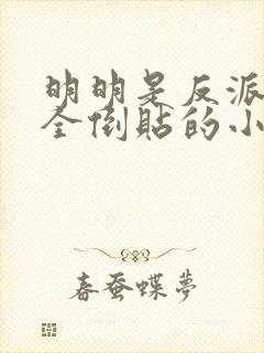 明明是反派女主全倒贴的小说