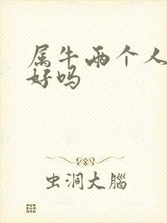 属牛两个人结婚好吗