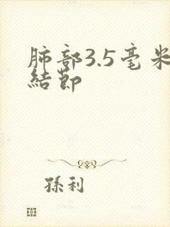 肺部3.5毫米结节