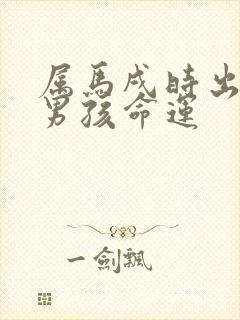 属马戌时出生的男孩命运