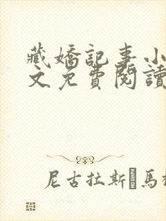 藏娇记事小说全文免费阅读