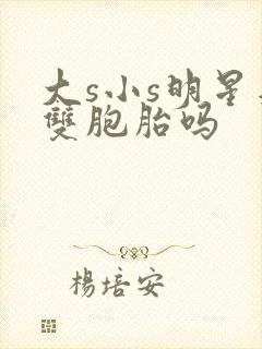 大s小s明星是双胞胎吗