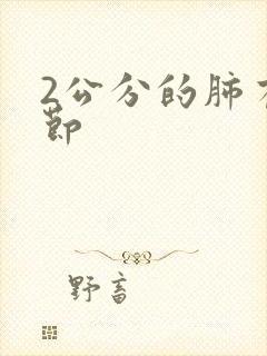 2公分的肺有结节