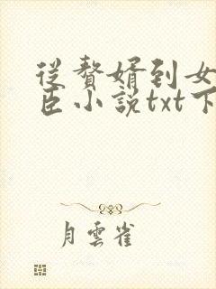 从赘婿到女帝宠臣小说txt下载