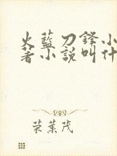 火蓝刀锋小说原著小说叫什么名字