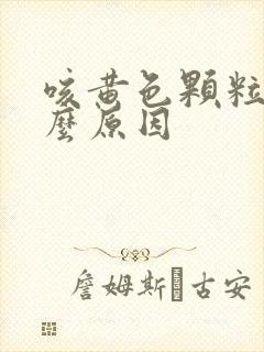 咳黄色颗粒痰什么原因