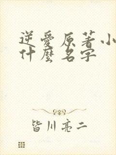 逆爱原著小说叫什么名字