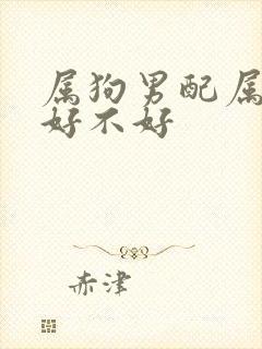 属狗男配属鼠女好不好封面