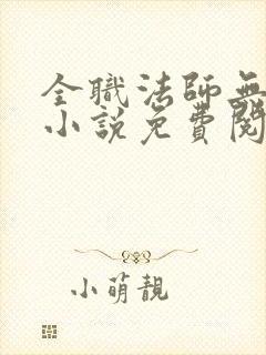 全职法师无弹窗小说免费阅读