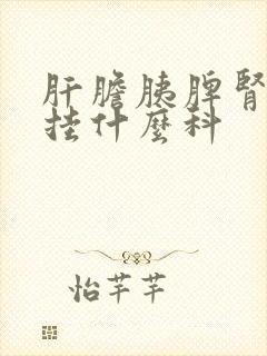 肝胆胰脾肾检查挂什么科