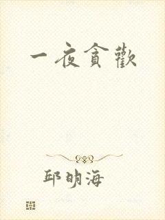 一夜贪欢封面