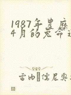 1987年农历4月的兔命运如何