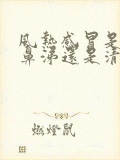 风热感冒是流黄鼻涕还是清鼻涕