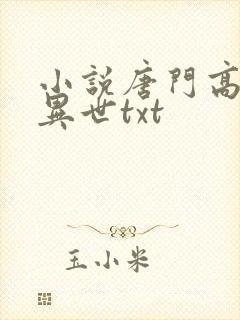 小说唐门高手在异世txt