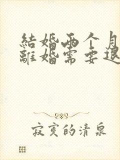 结婚两个月家暴离婚需要退彩礼吗