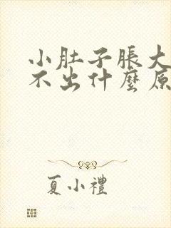 小肚子胀大便拉不出什么原因