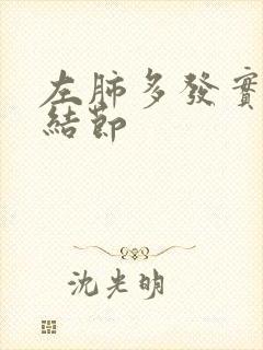 左肺多发实性微结节